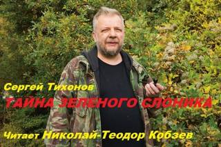 Тихонов Сергей - Тайна Зелёного слоника