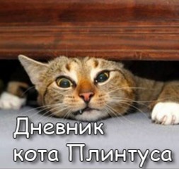 Skotina - Записки кота Плинтуса