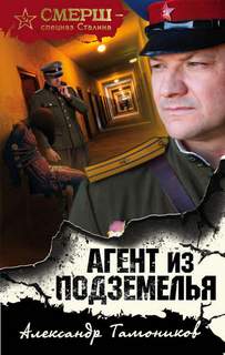 Тамоников Александр - Агент из подземелья