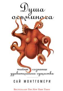 Монтгомери Сай - Душа осьминога: Тайны сознания удивительного существа