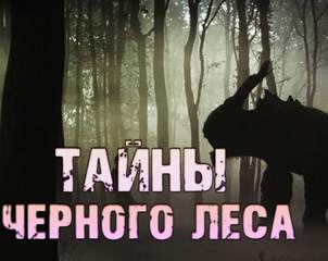 Столяревский Валерий - Тайны черного леса