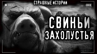 Видинеев Дмитрий - Свиньи захолустья