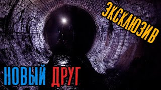 Зимин Сергей - Новый друг