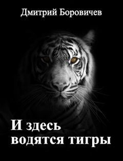 Боровичёв Дмитрий - И здесь водятся тигры