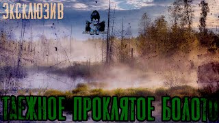 Зимин Сергей - Таежное проклятое болото