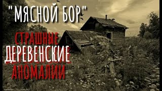 Горыня Галина - Мясной Бор