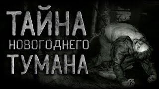 Шалункова Анастасия - Тайна новогоднего тумана