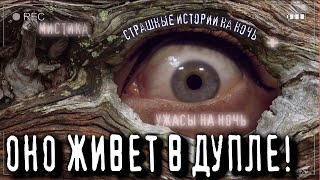 Маркелова Софья - Никогда не кричи в лесу!