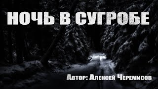 Черемисов Алексей - Ночь в сугробе
