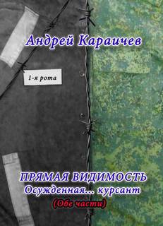 Караичев Андрей - Прямая видимость 01