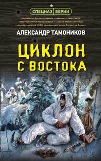Тамоников Александр - Циклон с востока