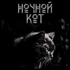 Стэн Сергей - Ночной кот